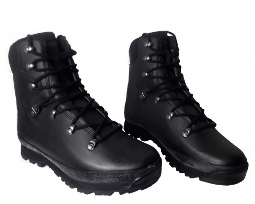 Берцы армии Британии Сold Wet Weather Solution Haix Gore-Tex