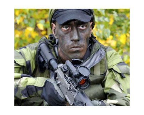 Коллиматорный прицел закрытого типа Aimpoint CompM4s 2 MOA (QRP2 Complete)